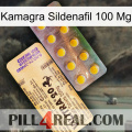 Kamagra Sildenafil 100Mg new06